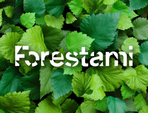 Forestami: la cintura verde Milanese che segue la linea 90/91