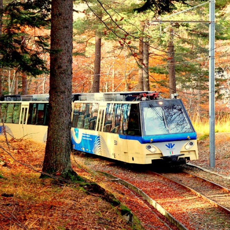 Treno del Foliage, un’attrazione nel cuore della natura a un’ora da